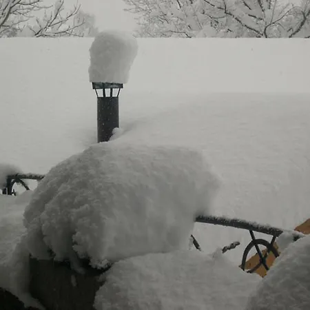 阿尔宾娜盖斯特豪斯酒店 毛拉赫