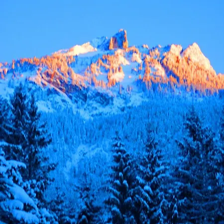 Gaestehaus Alpina Apartment