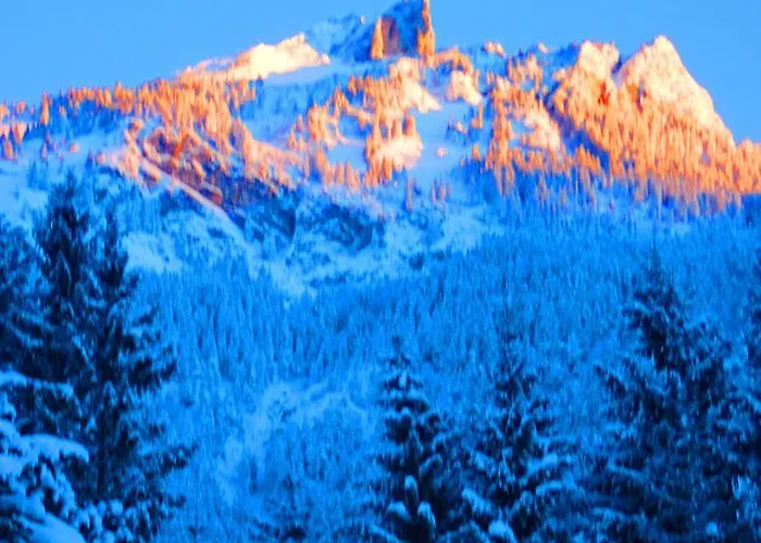 Gaestehaus Alpina Apartment